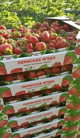 Транспортируется в коробках по 5 кг 